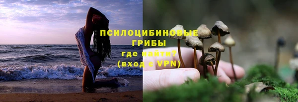 прущие крисы Баксан