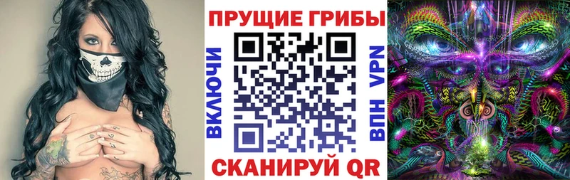 Псилоцибиновые грибы ЛСД  где купить наркотик  Армавир 