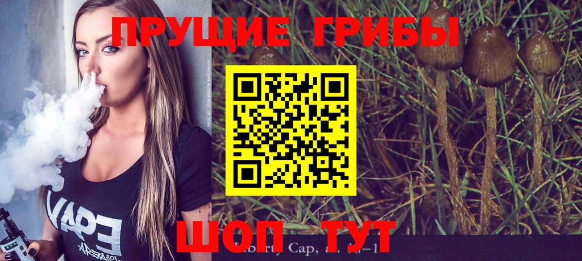 Псилоцибиновые грибы MAGIC MUSHROOMS  Вход с VPN  Галлюциногенные грибы Psilocybe  Армавир 