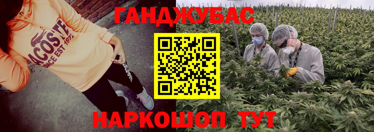 Шишки марихуана тримм  Шишки марихуана планчик  Вход с VPN  Армавир 